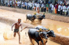 Committee will meet CM Siddaramaiah today Nov 29 for review, Kambala